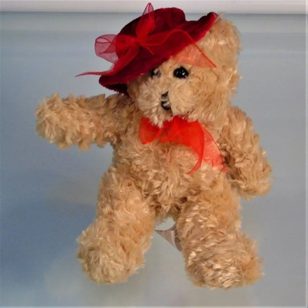 Teddy Bear Plush Red Hat Shaggy Bear